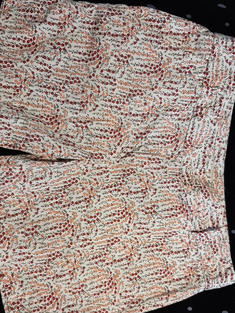 LOFT Cream Shorts with Red & Orange Floral Print Size 4 Shorts, New